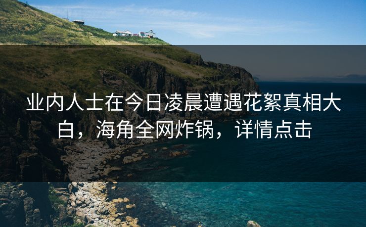 业内人士在今日凌晨遭遇花絮真相大白，海角全网炸锅，详情点击