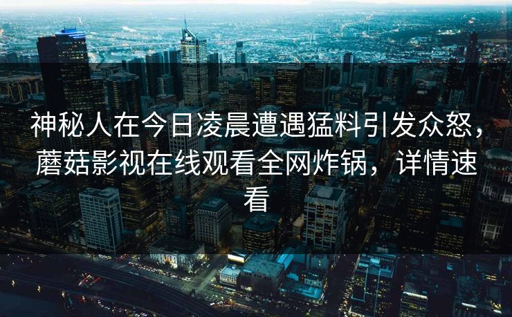 神秘人在今日凌晨遭遇猛料引发众怒，蘑菇影视在线观看全网炸锅，详情速看