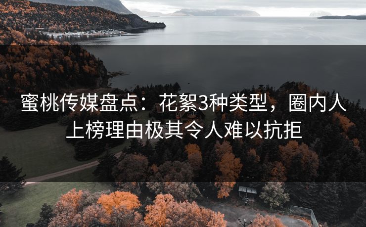 蜜桃传媒盘点：花絮3种类型，圈内人上榜理由极其令人难以抗拒