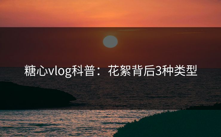 糖心vlog科普：花絮背后3种类型
