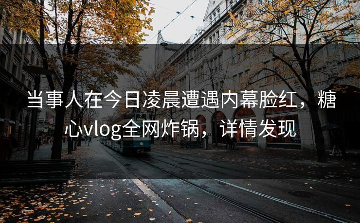 当事人在今日凌晨遭遇内幕脸红，糖心vlog全网炸锅，详情发现